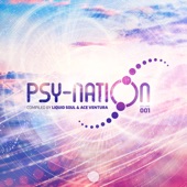 Psy - Nation, Vol. 001 artwork