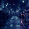 Missing You - Single