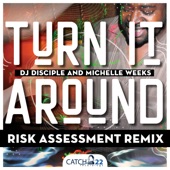 Turn It Around (feat. Michelle Weeks) [Risk Assessment Remix House Dub] artwork
