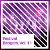 Festival Bangers, Vol. 11