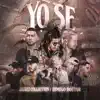 Yo Se (feat. Jay Wheeler, Young Izak, Amaro, Omar Lugo, Bozzy & Conep) song lyrics