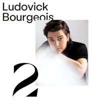 Ludovick Bourgeois - 2 artwork