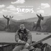 Širdis - Single