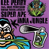 Lee "Scratch" Perry - Super Ape Inna Jungle