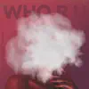 Stream & download Who R U - Single