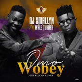 Omo Wobey (feat. Wale tuner) artwork