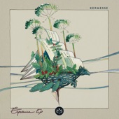 Esperanza (Elfenberg Remix) artwork