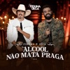 Álcool Não Mata Praga - Single