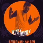 Beenie Man  - Nah Dem