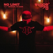 No Limit (feat. Grizzlee, DJ Haem) artwork