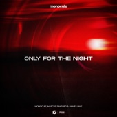 Only For The Night (Extended Mix) artwork