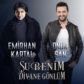 Şu Benim Divane Gönlüm artwork