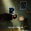 Never Too Late - Single