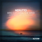 Bird Catching the Wind artwork