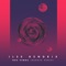 Nos Vemos (Budaya Remix) (feat. BUDAYA) - Ilse Hendrix lyrics