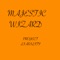 Project Liability - Majestic Wizard lyrics