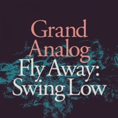 Fly Away_Swing Low artwork