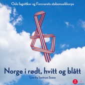 Norge i rødt, hvitt og blått (Live fra Sentrum Scene) artwork