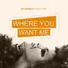 Stream & download Where You Want Me (feat. Wendy Demey) - Single