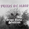 Puras de Amor - Single, 2020