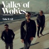 Valley Of Wolves