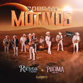 Sobran Motivos - Conjunto Rienda Real & La Pocima Norteña