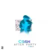Cash (feat. AfterParty) - Single album lyrics, reviews, download