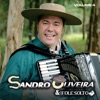 Sandro Oliveira & Grupo Fole Solto, Vol. 4