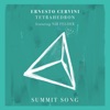 Summit Song (feat. Nir Felder) - Single