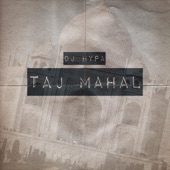 Taj Mahal artwork