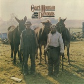 The Ozark Mountain Daredevils - Mountain Range