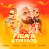 Fica à Vontade (feat. Ferrugem, Xamã, Mc Poze do Rodo & MC Hariel) - Single album lyrics, reviews, download