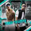 Tiger Triumph - Single album lyrics, reviews, download