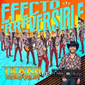 Efecto Irreversible artwork