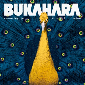 Bukahara - Happy - 排舞 音乐