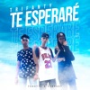 Te Esperaré - Single