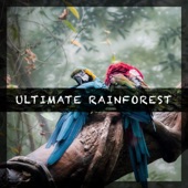 Ultimate Rainforest artwork