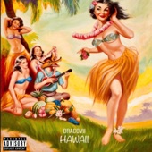 Hawaii artwork