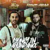 Money in Abundance - Single album lyrics, reviews, download