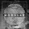 Modular, Vol. 19