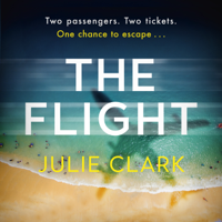 Julie Clark - The Flight artwork