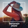 Sertanejo 2020, 2020