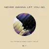 Stream & download Never Wanna Let You Go (feat. Van Jay) - Single