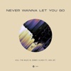 Never Wanna Let You Go (feat. Van Jay) - Single