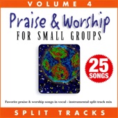 We Bring the Sacrifice of Praise (Split Track) artwork