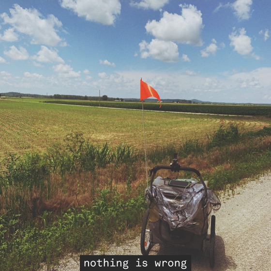 Cover artwork for Nothing Is Wrong