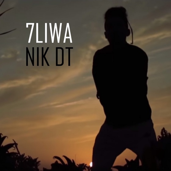 Cover artwork for Nik Dt