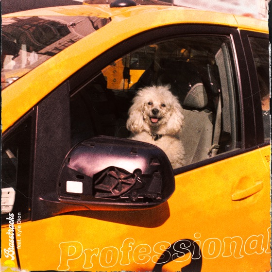 Cover artwork for Professional (feat. Kyle Dion)