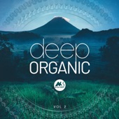 Deep Organic, Vol. 2 artwork