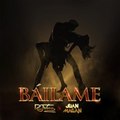 Báilame artwork